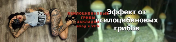 мяу мяу мука Медногорск