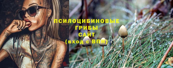 тгк Михайлов