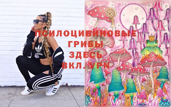 не бодяженный Медвежьегорск