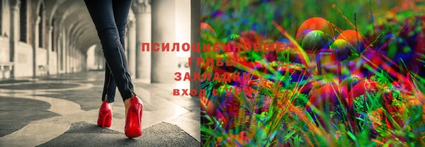 не бодяженный Медвежьегорск