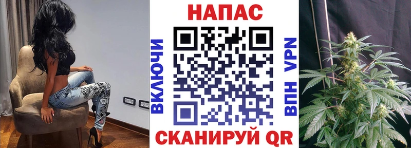 Конопля MAZAR  Купить закладки  Белый 